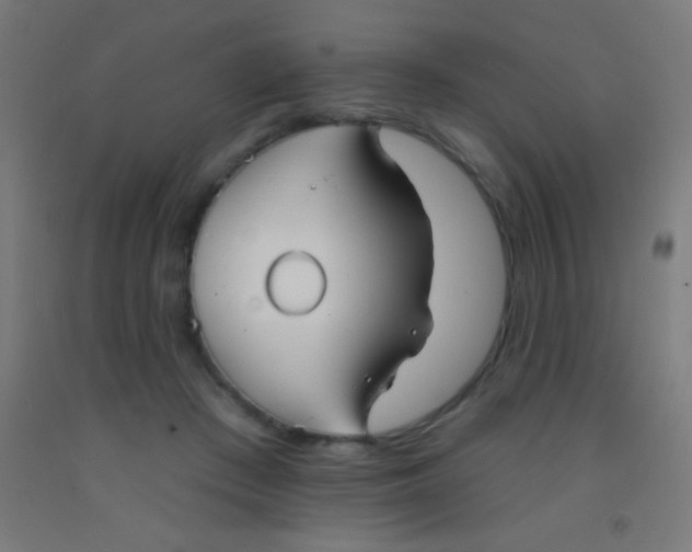 X0000092010409200709271533