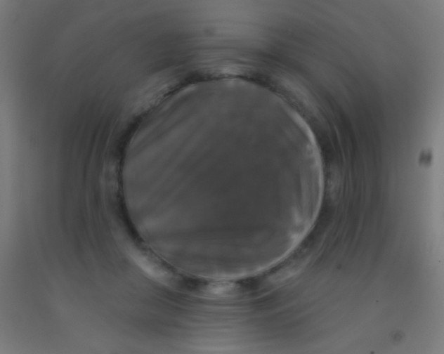 X0000092010410200709271533