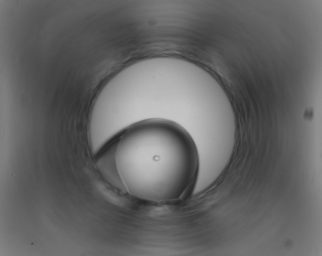 X0000092010411200709271533