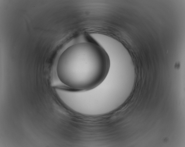 X0000092010412200709271533