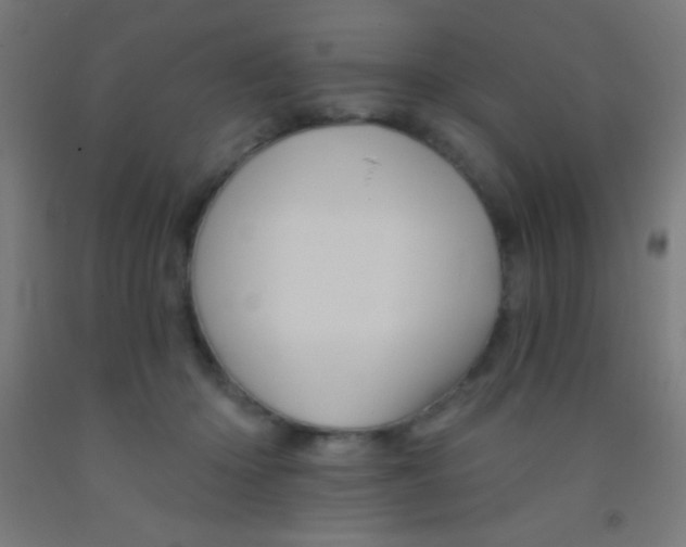 X0000092010414200709271533