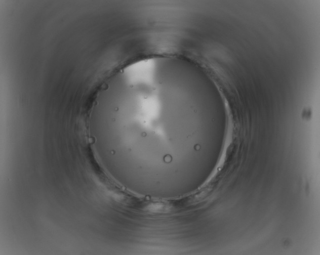 X0000092010415200709271533