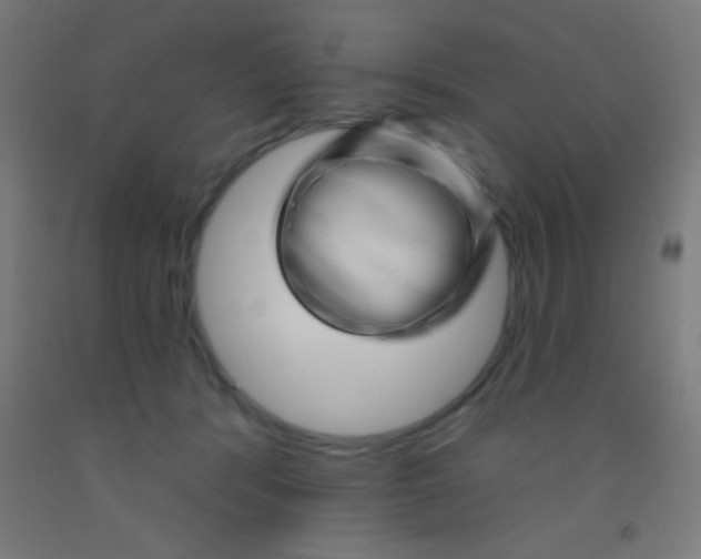 X0000092010416200709271533