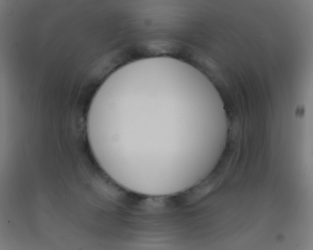 X0000092010418200709271533