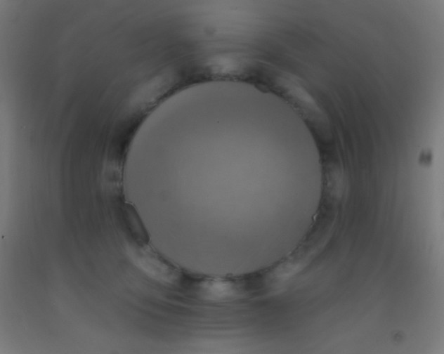 X0000092010419200709271533