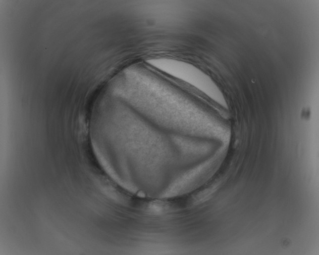 X0000092010420200709271533