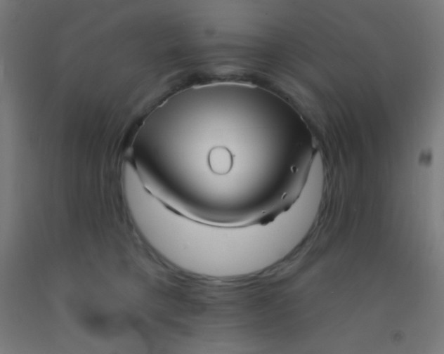 X0000092010421200709271533