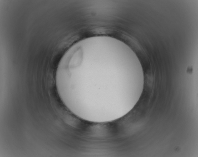 X0000092010422200709271533