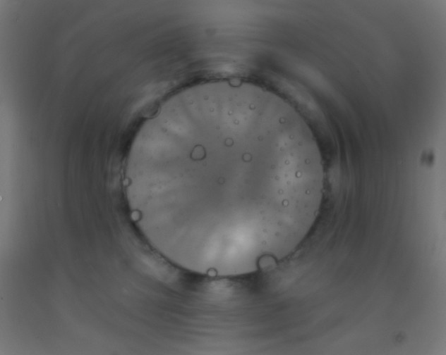 X0000092010423200709271533