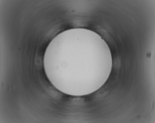 X0000092010426200709271533