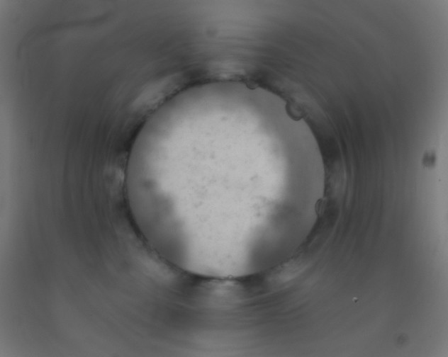 X0000092010427200709271533