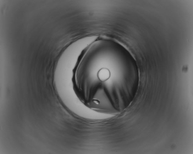 X0000092010428200709271533