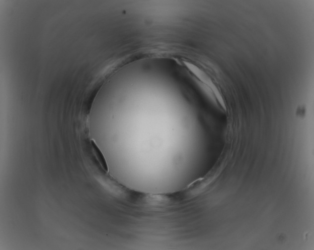 X0000092010429200709271533