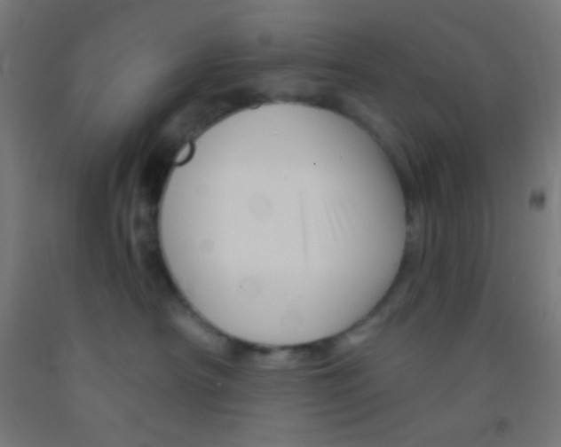 X0000092010430200709271533