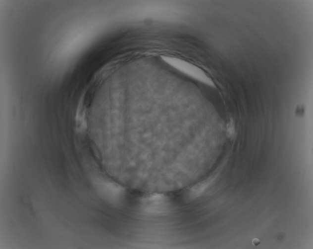 X0000092010431200709271533