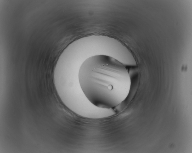 X0000092010432200709271533