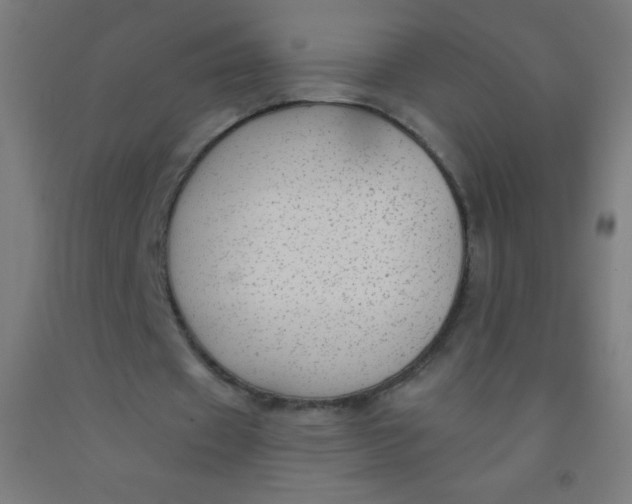 X0000092010433200709271532