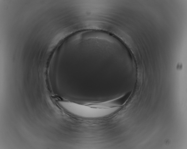 X0000092010434200709271532