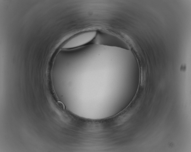 X0000092010435200709271532