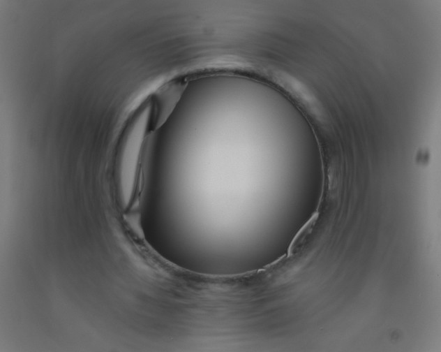 X0000092010436200709271532