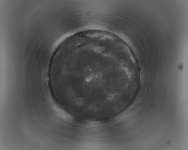 X0000092010438200709271532