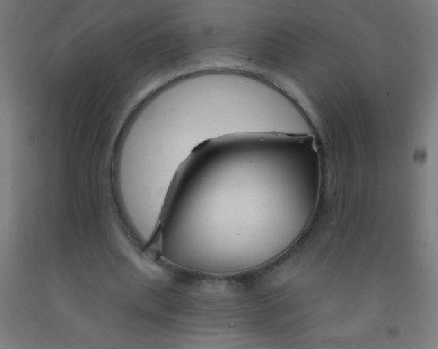 X0000092010439200709271532