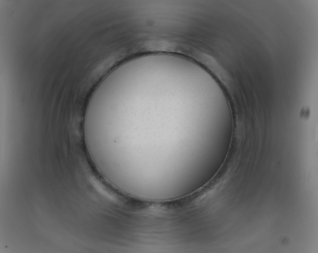 X0000092010441200709271532