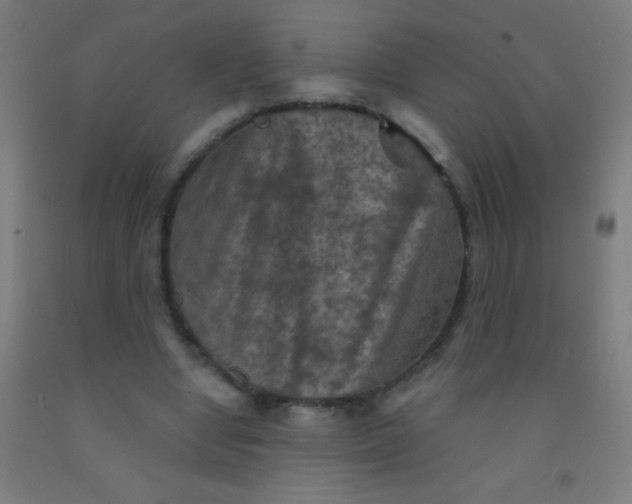 X0000092010442200709271532