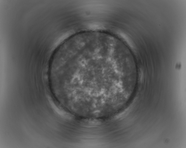 X0000092010443200709271532