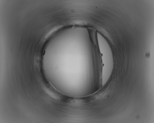 X0000092010444200709271532