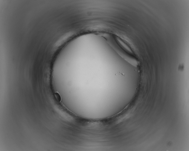 X0000092010446200709271532