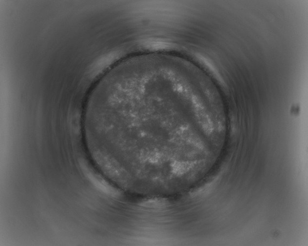 X0000092010447200709271532