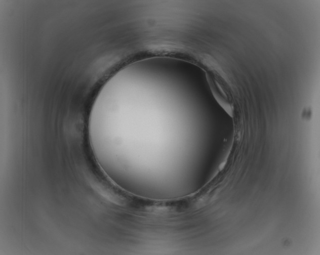 X0000092010448200709271532