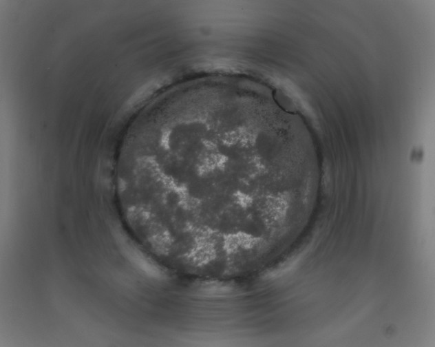 X0000092010449200709271532