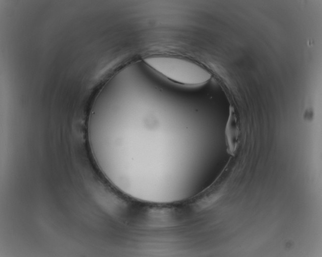 X0000092010450200709271532