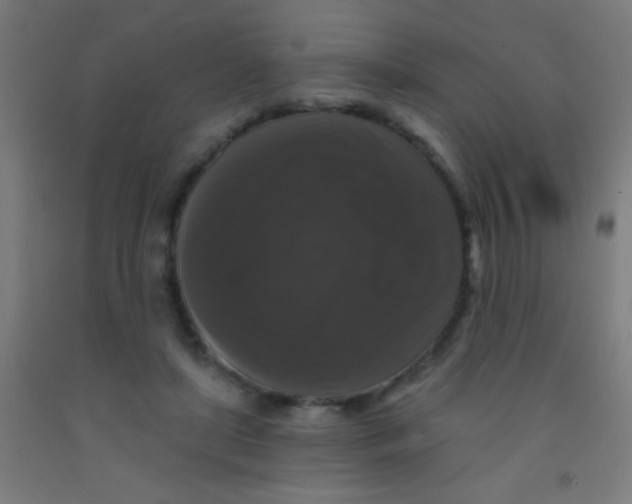 X0000092010451200709271532