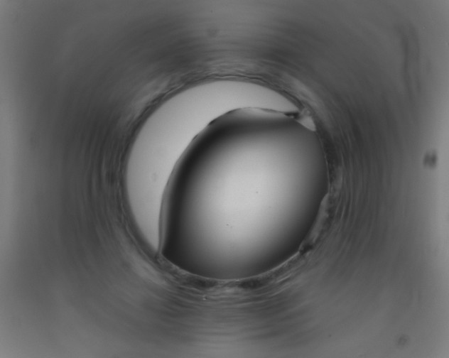 X0000092010452200709271532