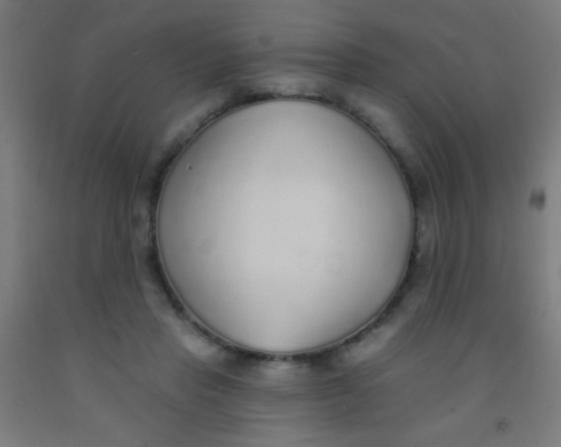 X0000092010453200709271533