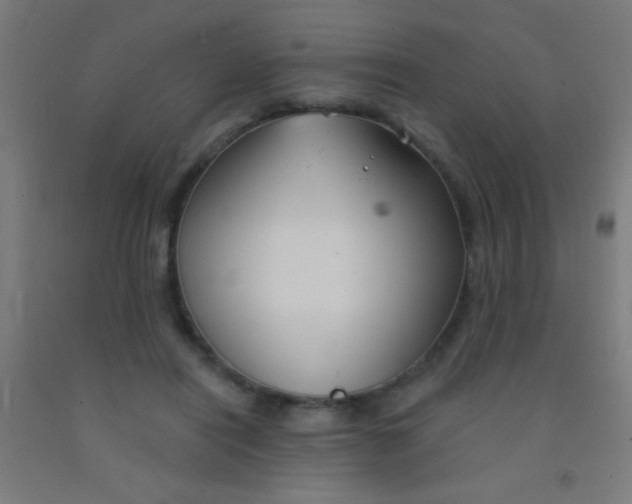 X0000092010454200709271533