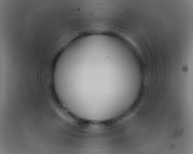 X0000092010455200709271533