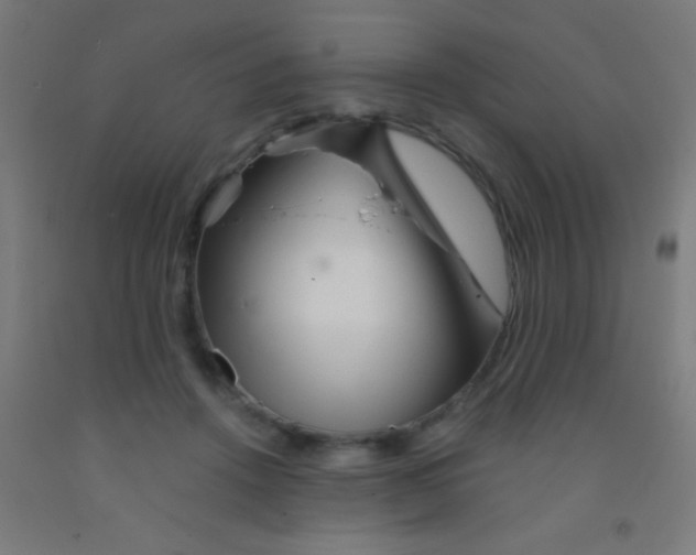 X0000092010456200709271533