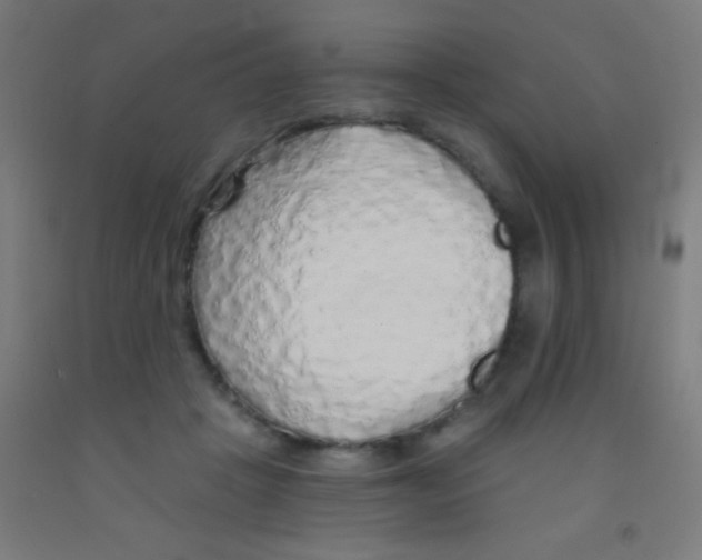 X0000092010457200709271533