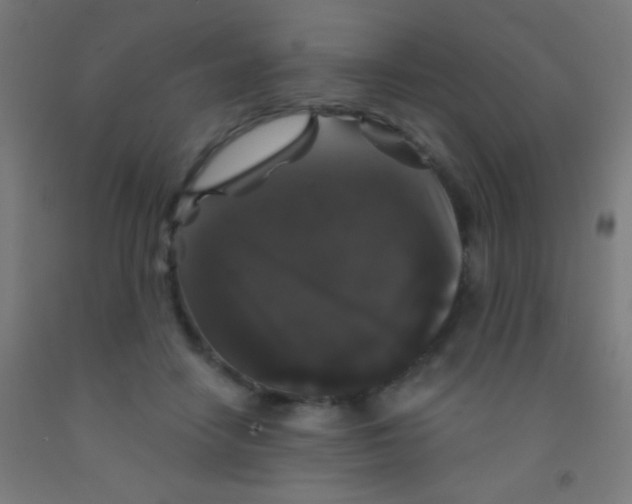 X0000092010458200709271533