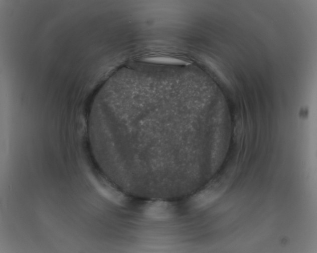 X0000092010459200709271533