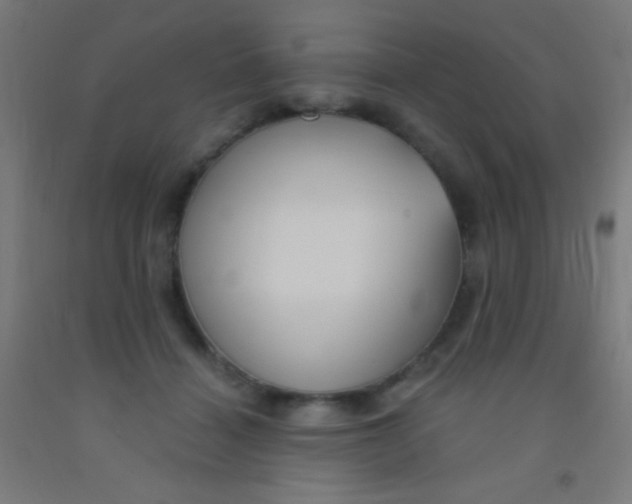 X0000092010460200709271533