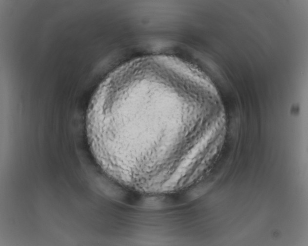 X0000092010461200709271533