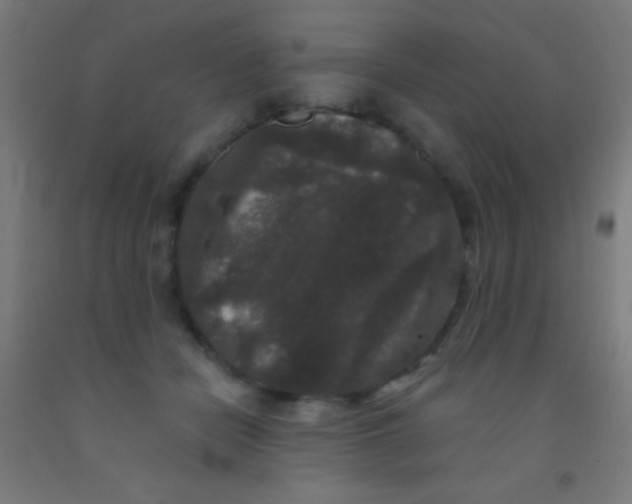 X0000092010462200709271533