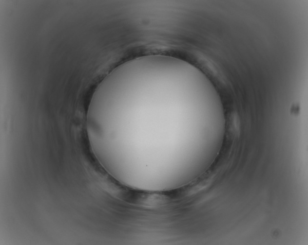 X0000092010463200709271533