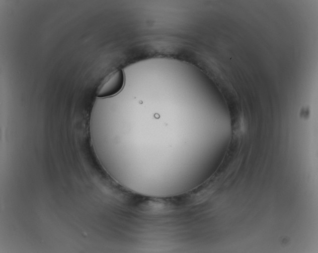 X0000092010464200709271533