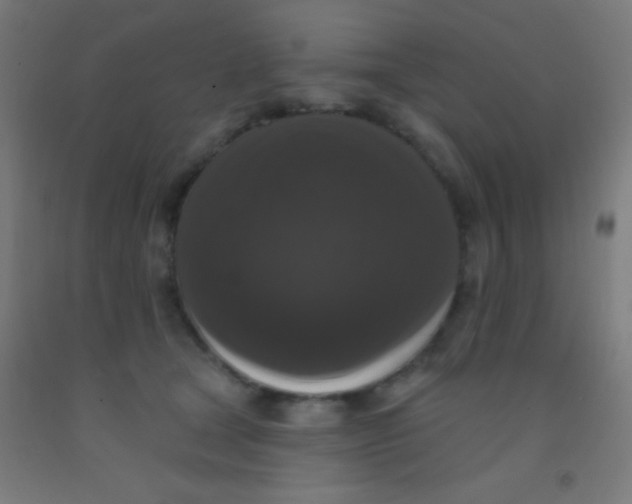 X0000092010465200709271533